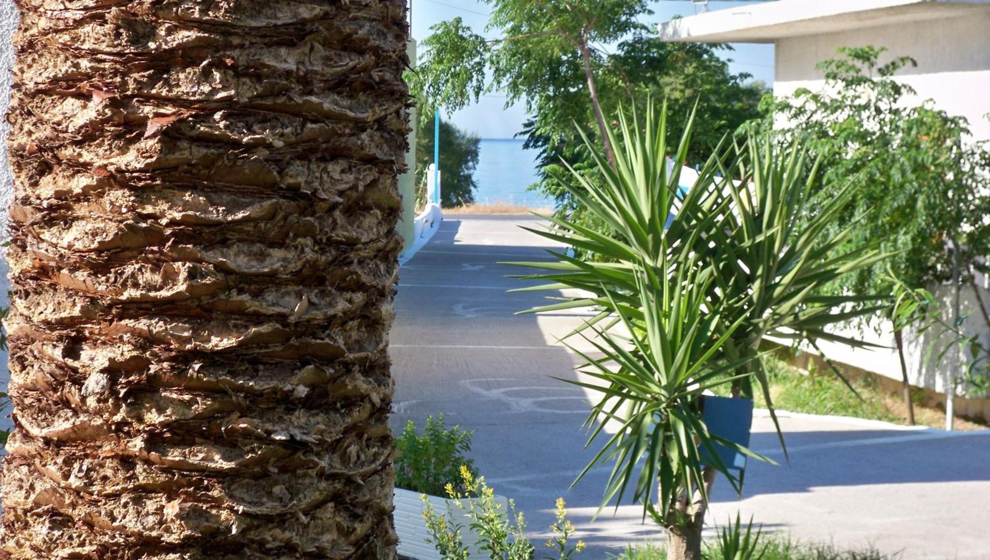 Aphrodite Samos Suites Marathókampos Eksteriør bilde