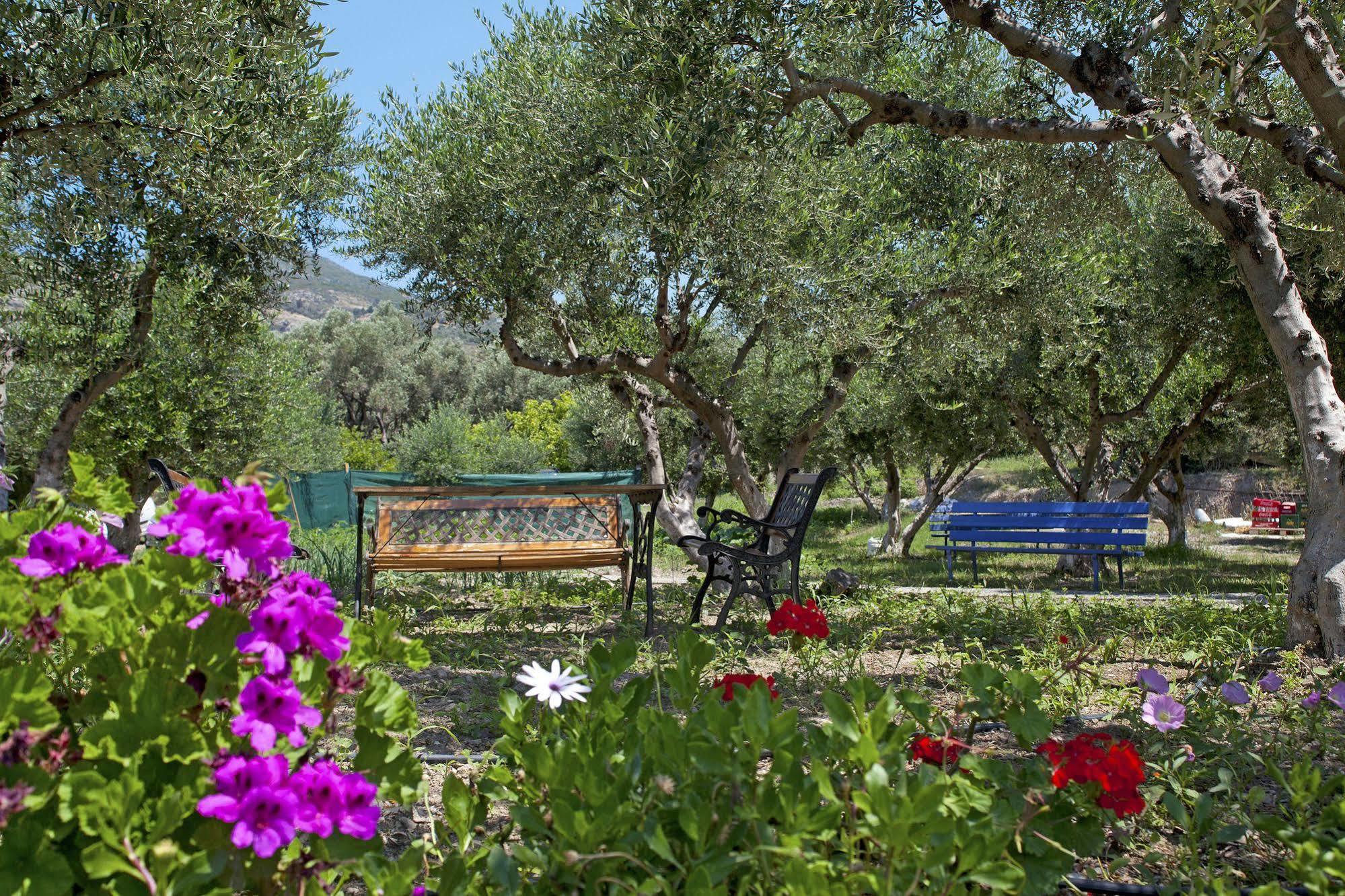 Aphrodite Samos Suites Marathókampos Eksteriør bilde